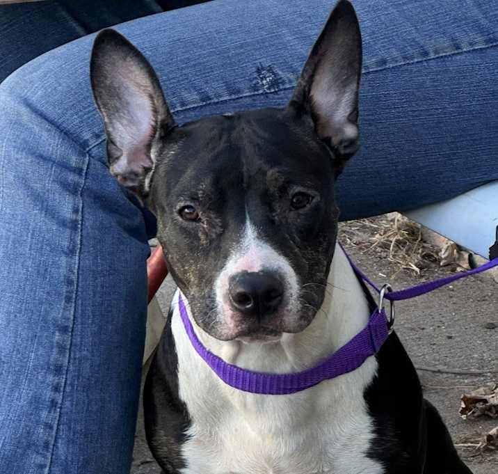 Photo of Talia 9/3/24
