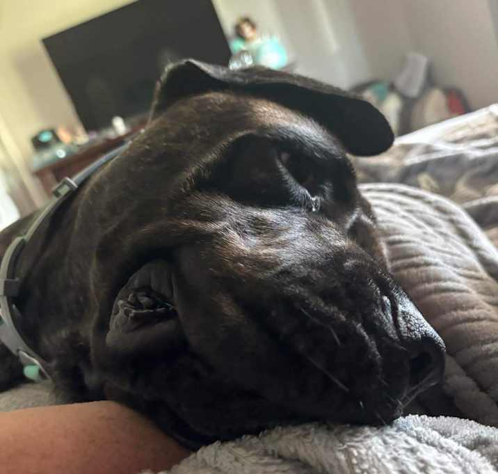 Photo of Kimber