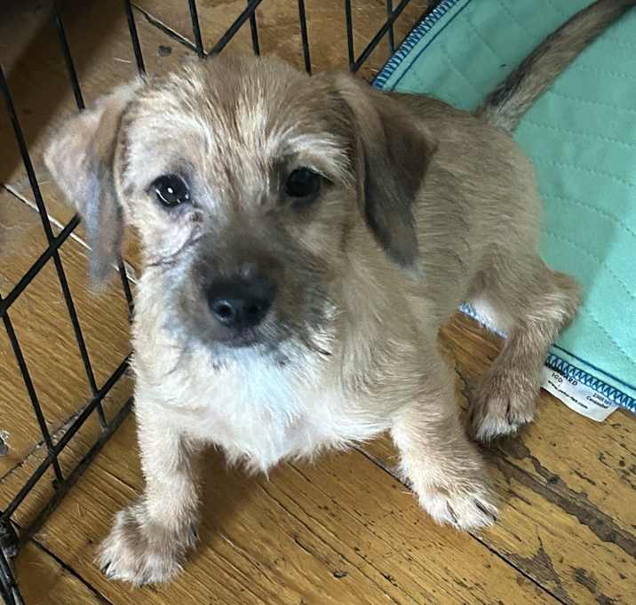 Photo of Spunkie