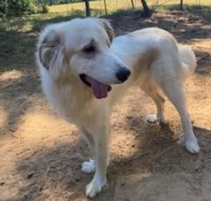 Photo of Polar