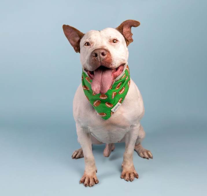 Photo of Drax