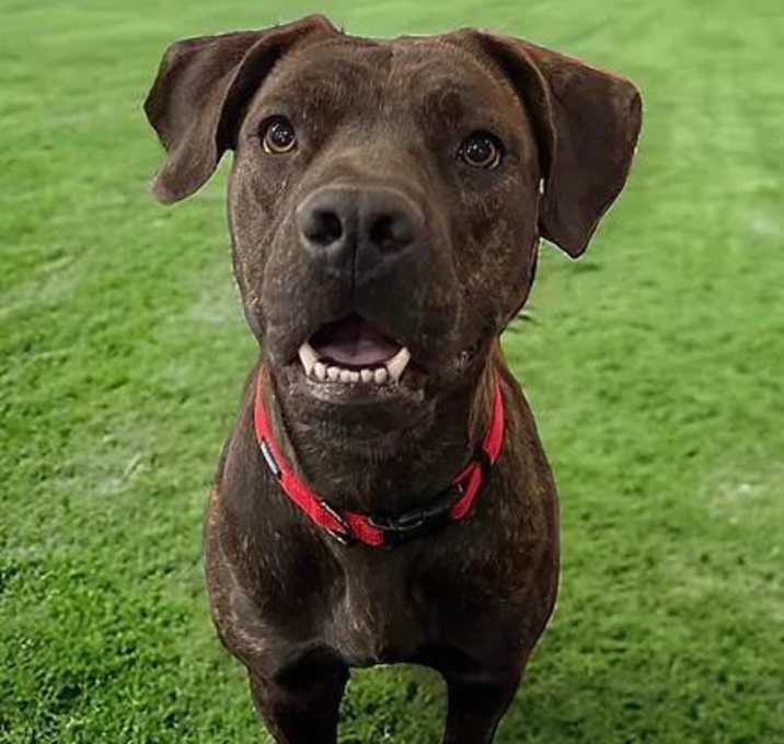 Photo of Missy