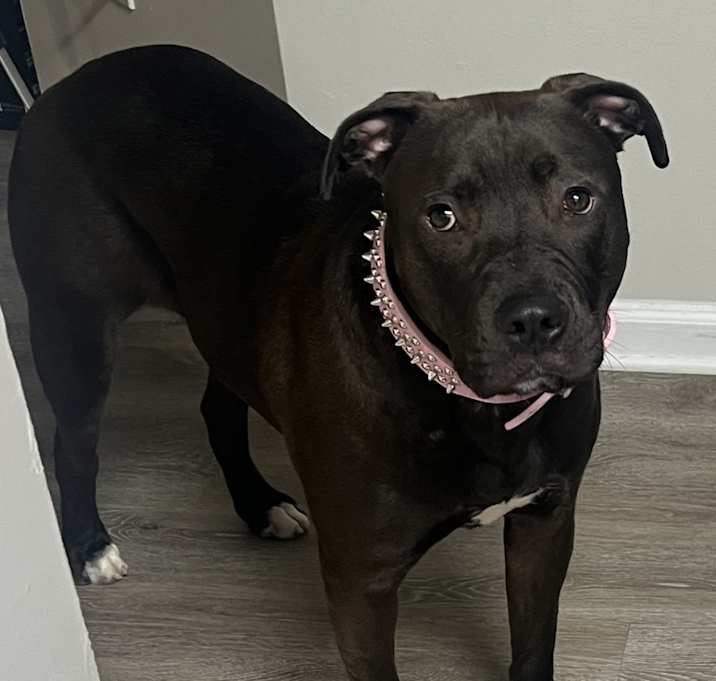Photo of Bebe