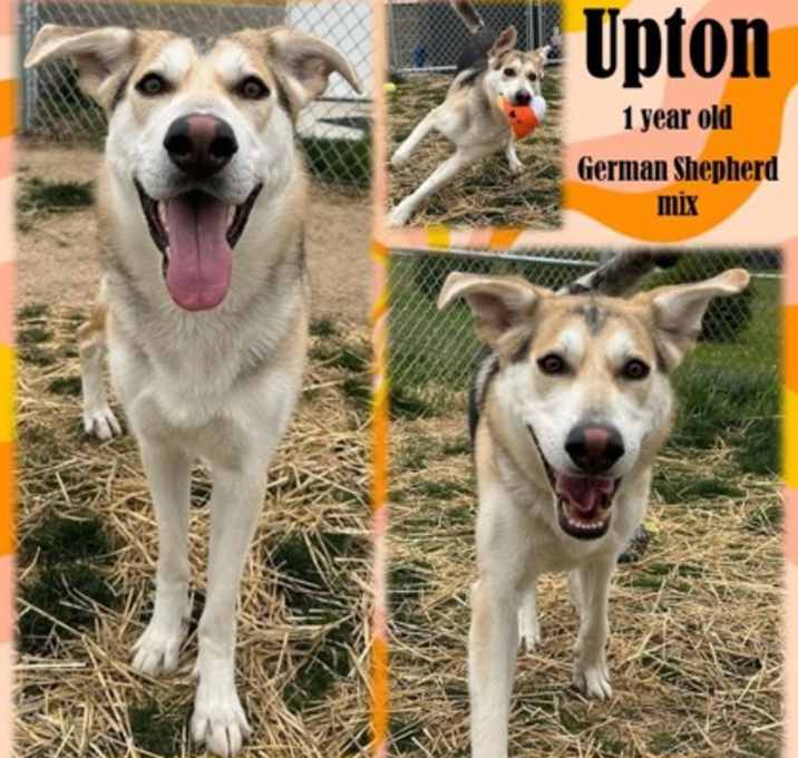 Photo of Upton