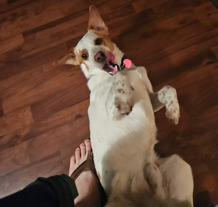 Photo of Cash