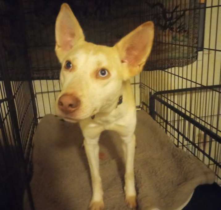 Photo of Bingo
