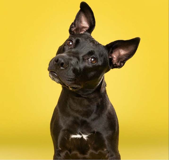Photo of Missy