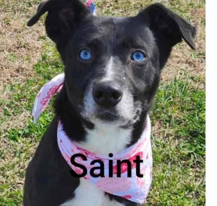 Photo of Saint