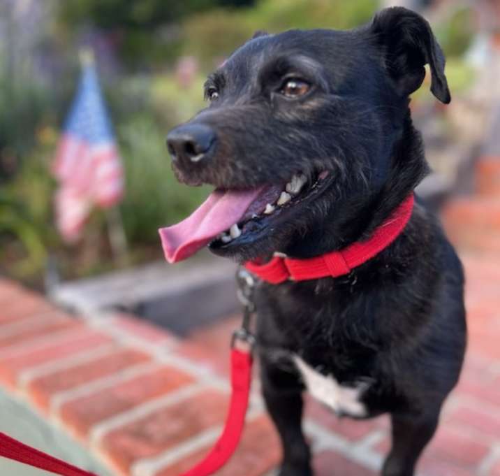 Photo of Toto