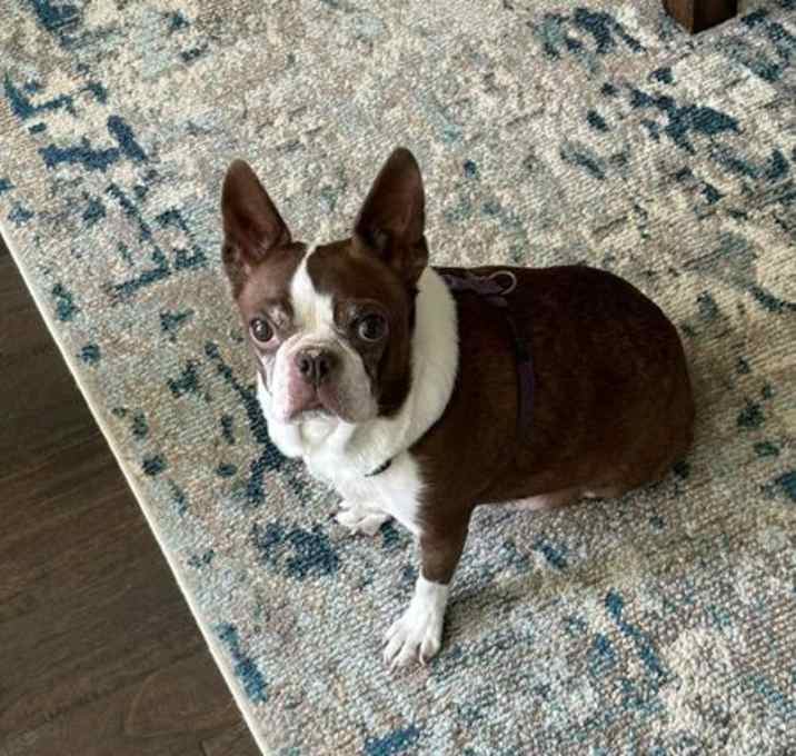 Photo of Miss Bella