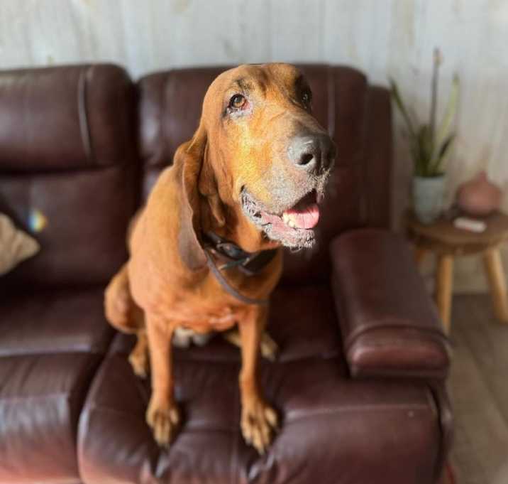 Photo of Fancy