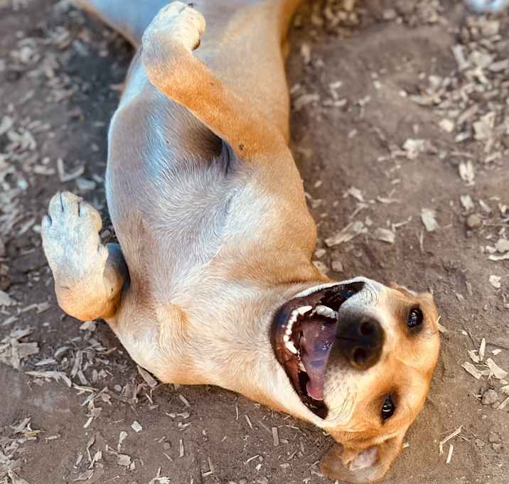 Photo of Milly