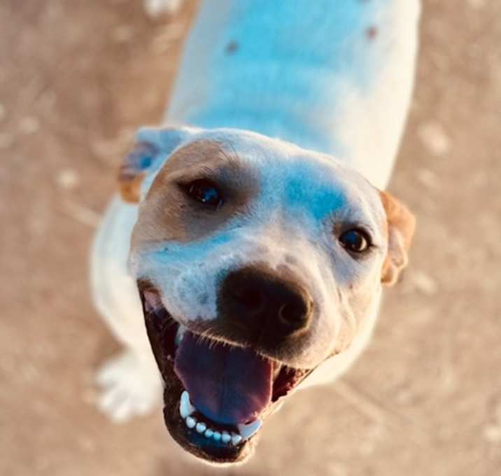 Photo of Molly