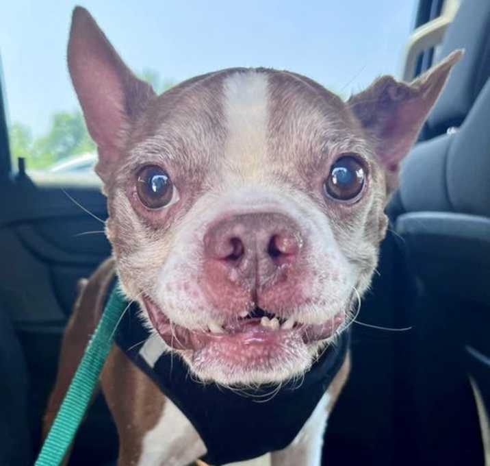 Photo of Murphy