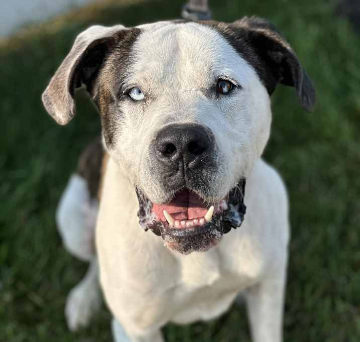 Photo of Bigz