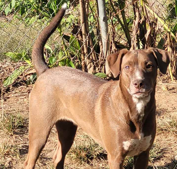 Photo of Lucy