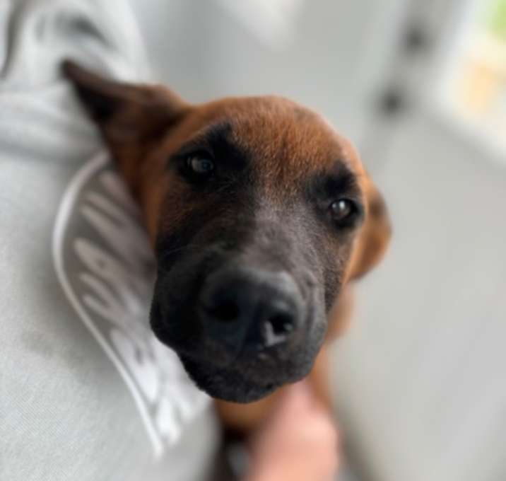 Photo of Clara