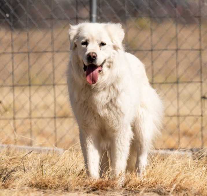 Photo of RUBY