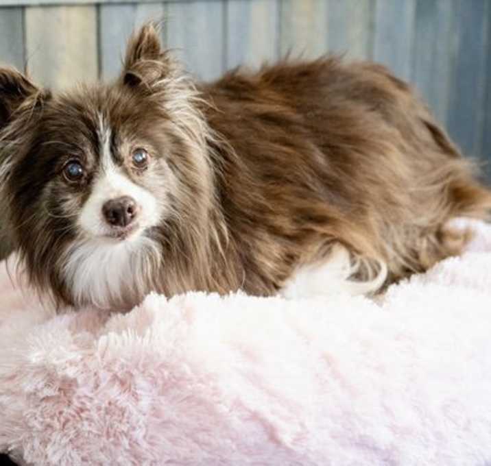 Photo of Gladys