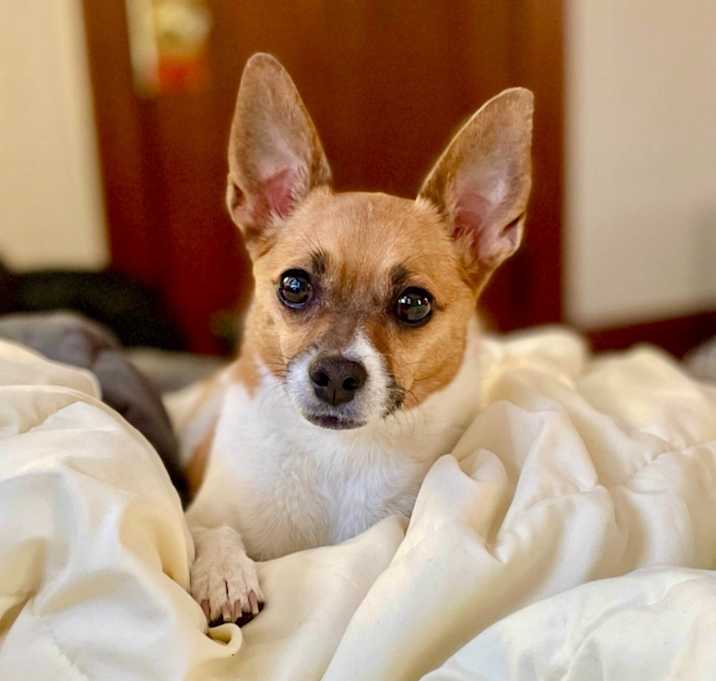 Photo of Cleo