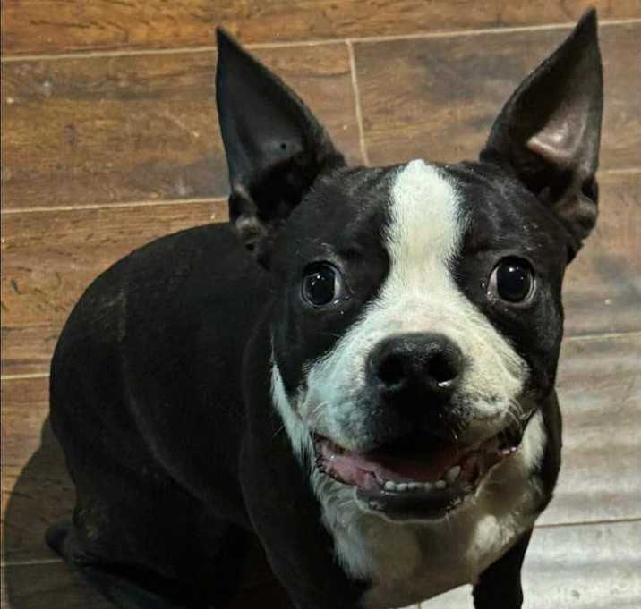 Photo of Frodo