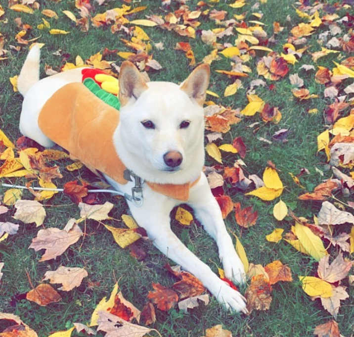 Photo of Kaya