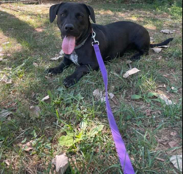 Photo of Tucker