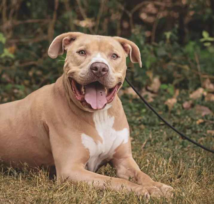 Photo of Chance