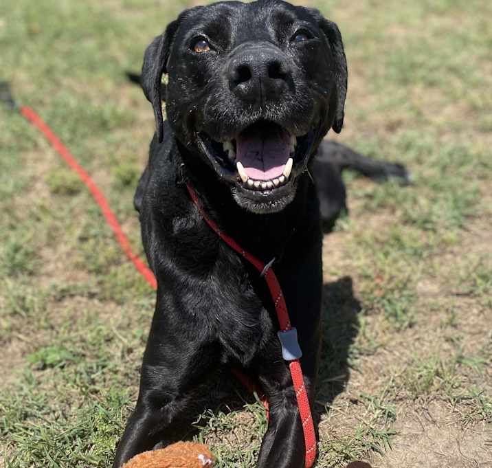 Photo of Cabela