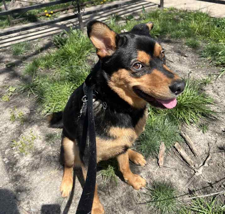 Photo of Bodie