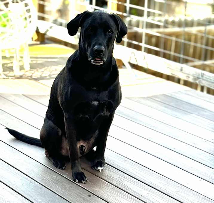 Photo of Duke