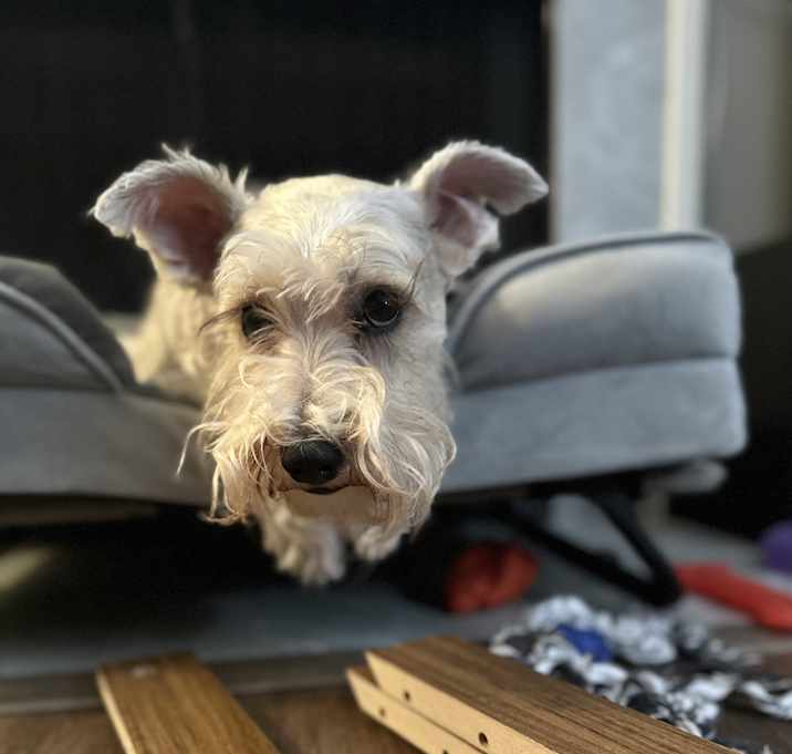 Photo of Maggie