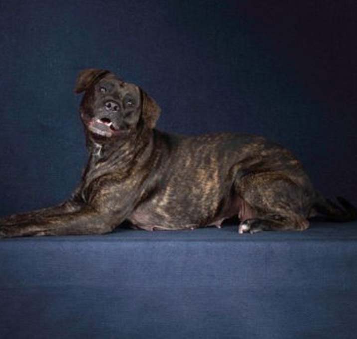 Photo of Cassie
