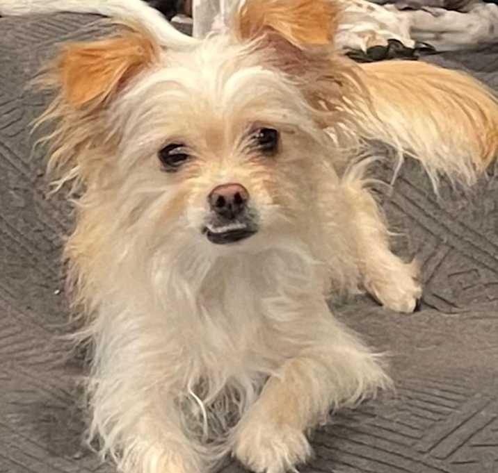 Photo of Lucy