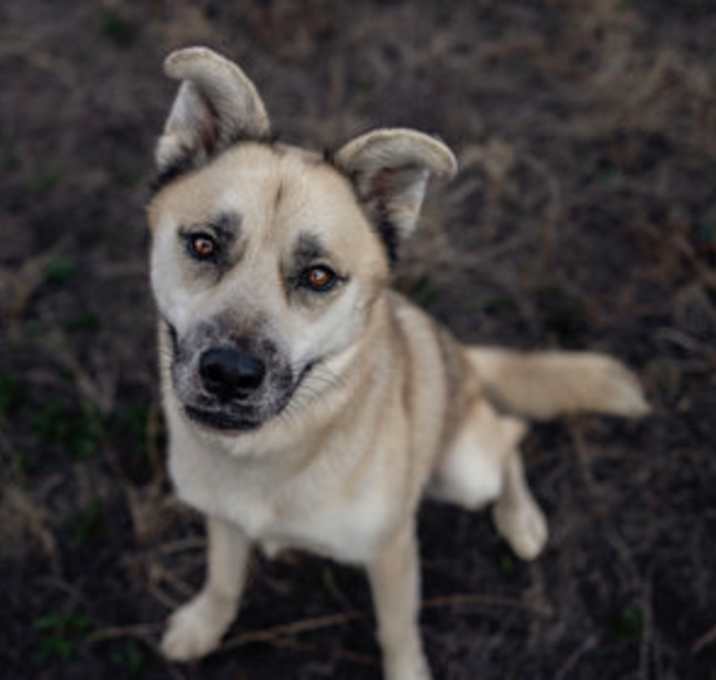 Photo of Tacoma (real name) 403912