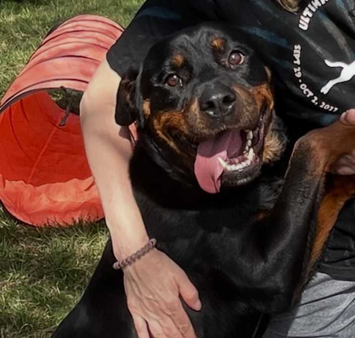 Photo of Dixie