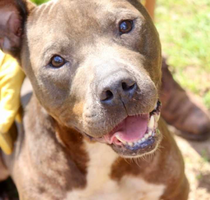 Photo of SMOKEY