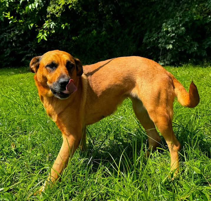 Photo of zippy