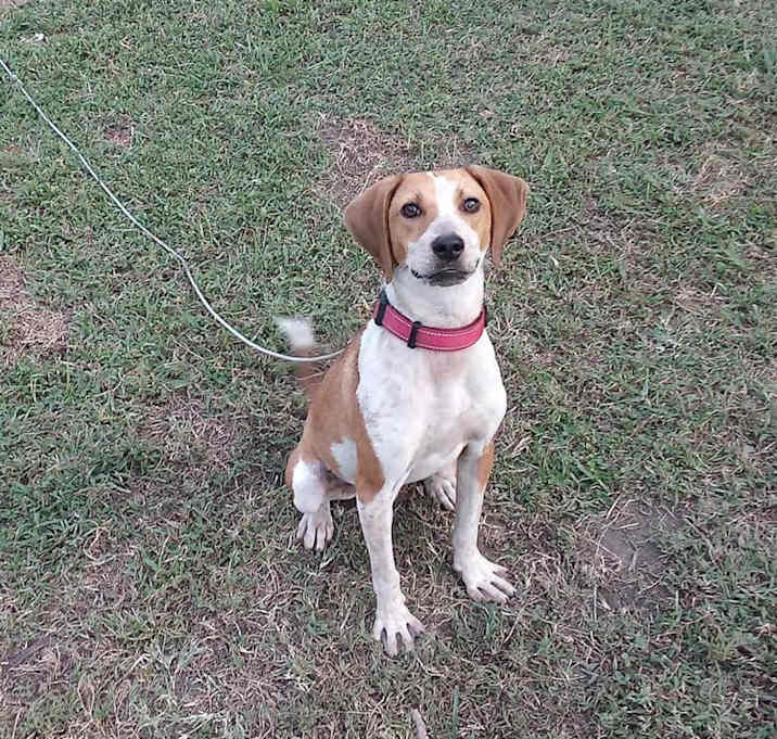 Photo of Bella