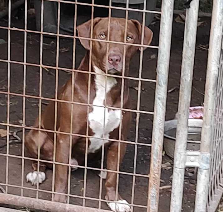 Photo of Jasper