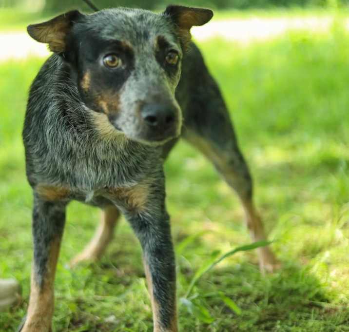 Photo of Orphan Annie