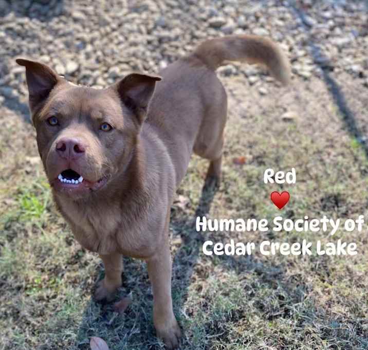 Photo of Red