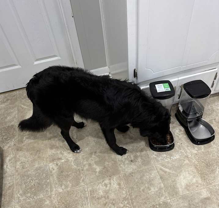 Photo of Maggie