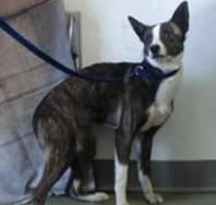 Photo of SPARTA