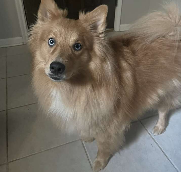Photo of Oakley