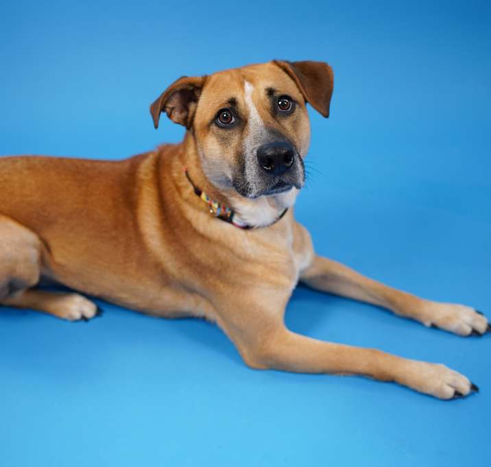 Photo of Xena