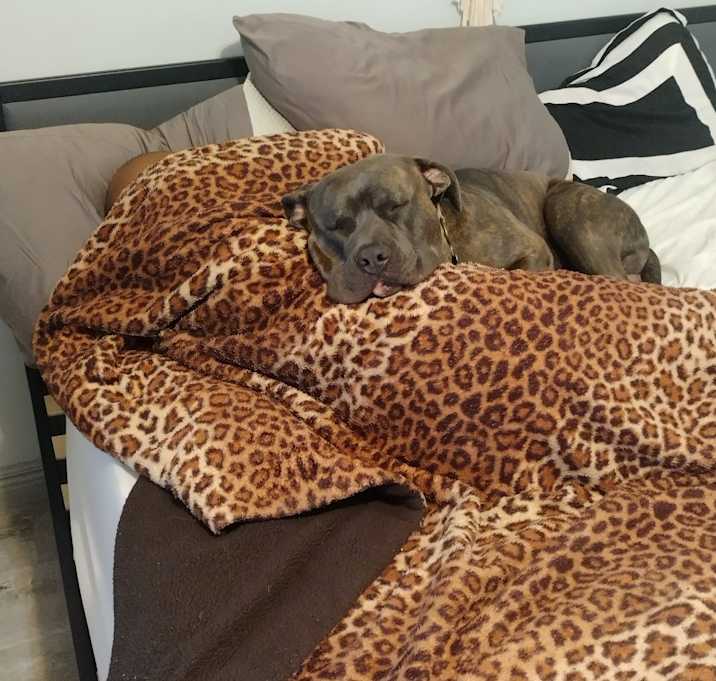 Photo of Rico