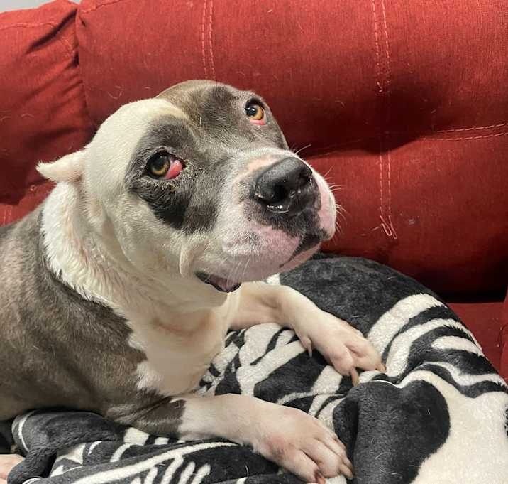 Photo of Maggie