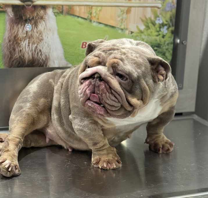 Photo of Harlee