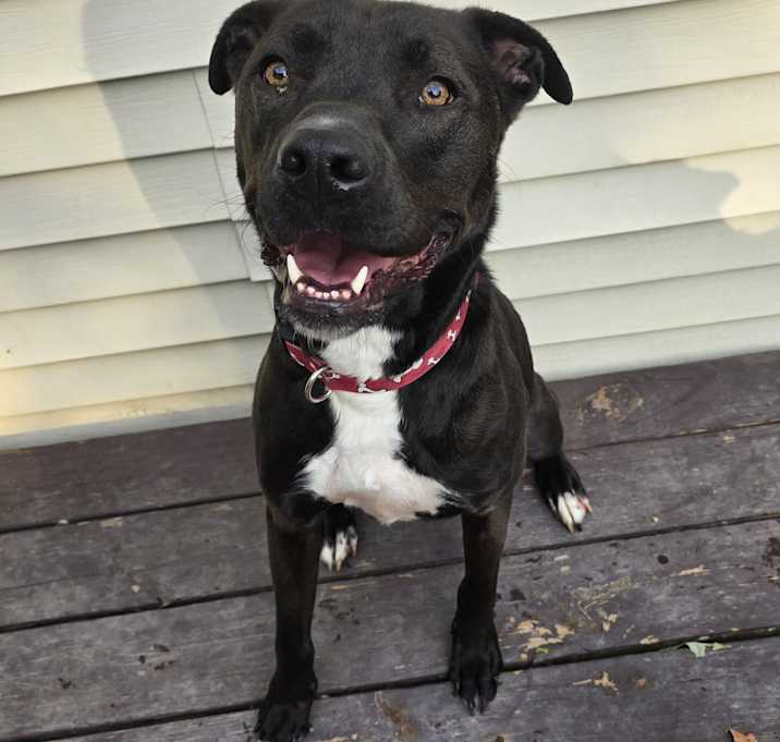Photo of Duke